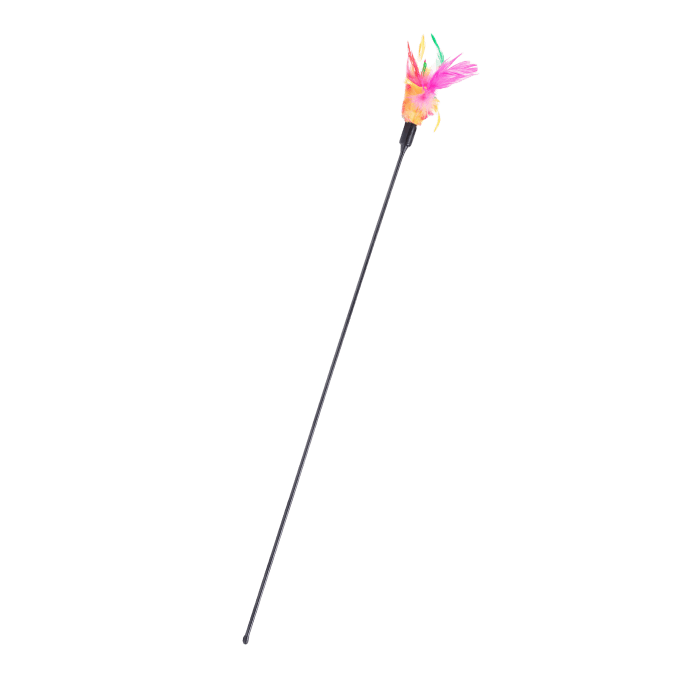 Shop Primary Image Shop Primary Image