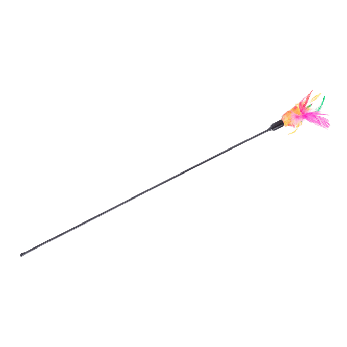 Shop Secondary Image Shop Secondary Image