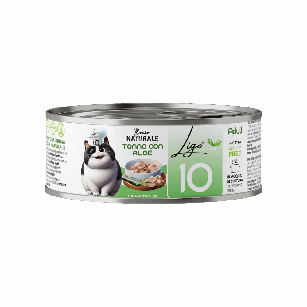 Shop Primary Image Shop Primary Image