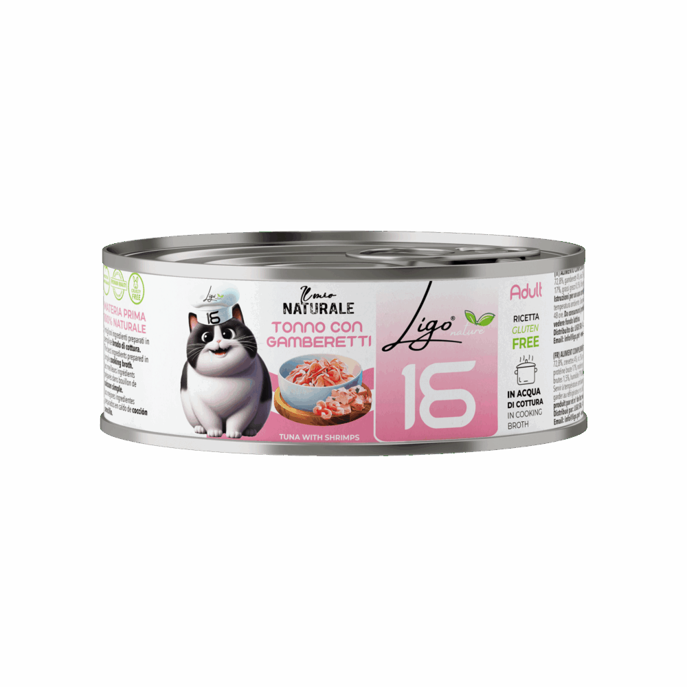 Shop Primary Image Shop Primary Image