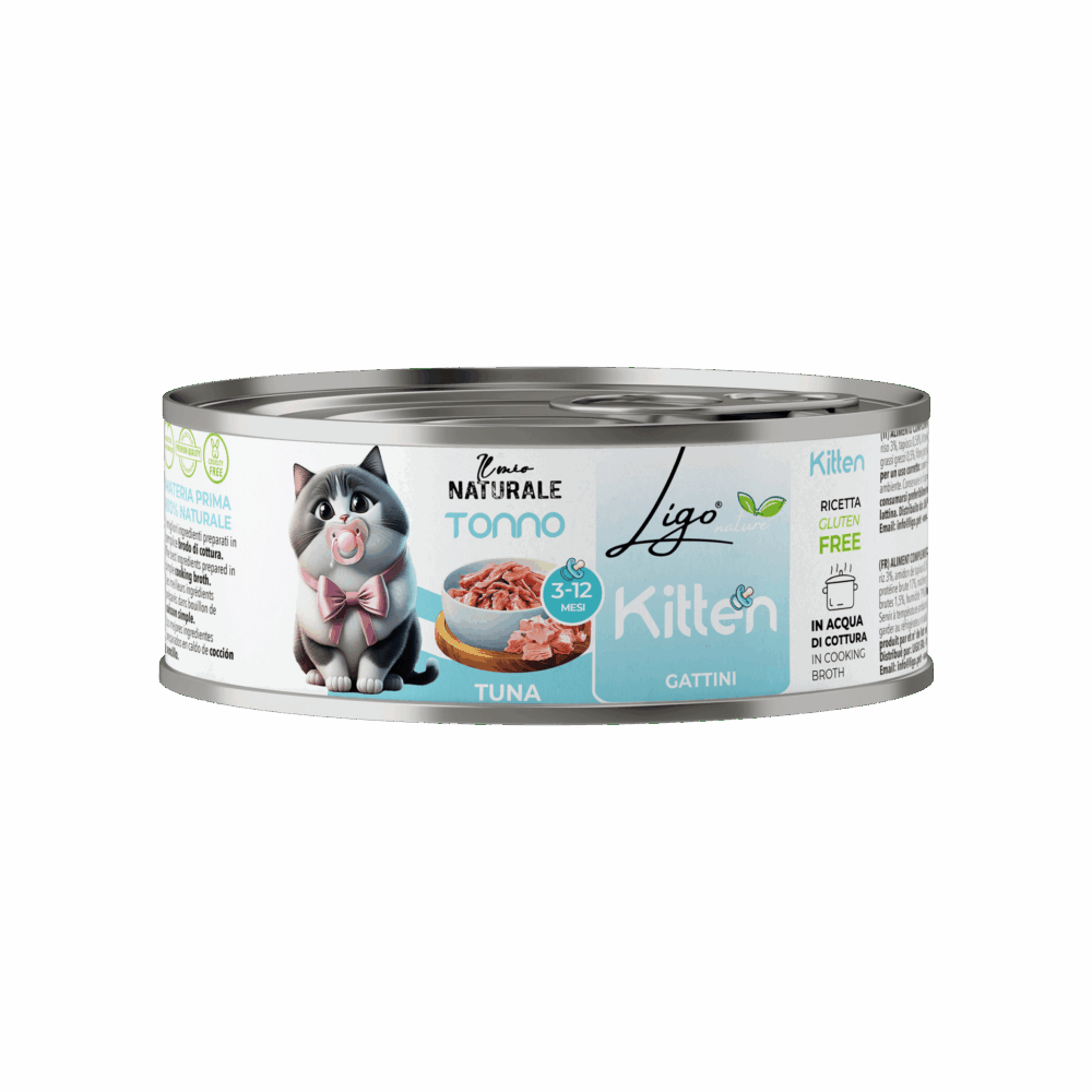 Shop Primary Image Shop Primary Image