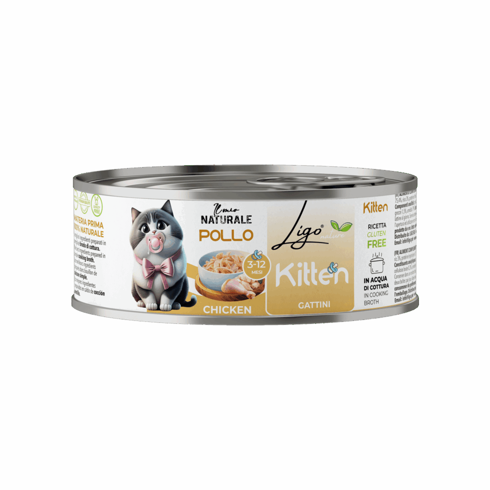 Shop Primary Image Shop Primary Image