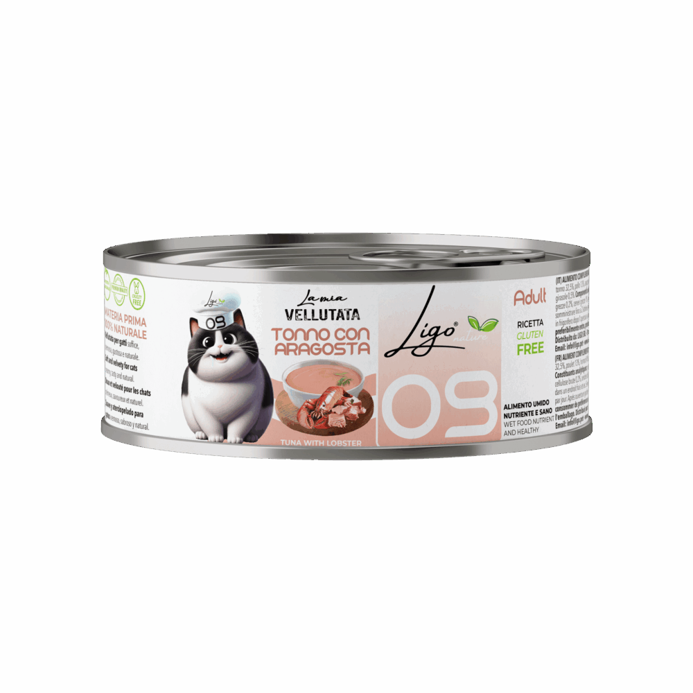 Shop Primary Image Shop Primary Image