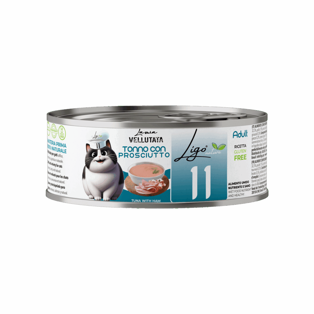 Shop Primary Image Shop Primary Image