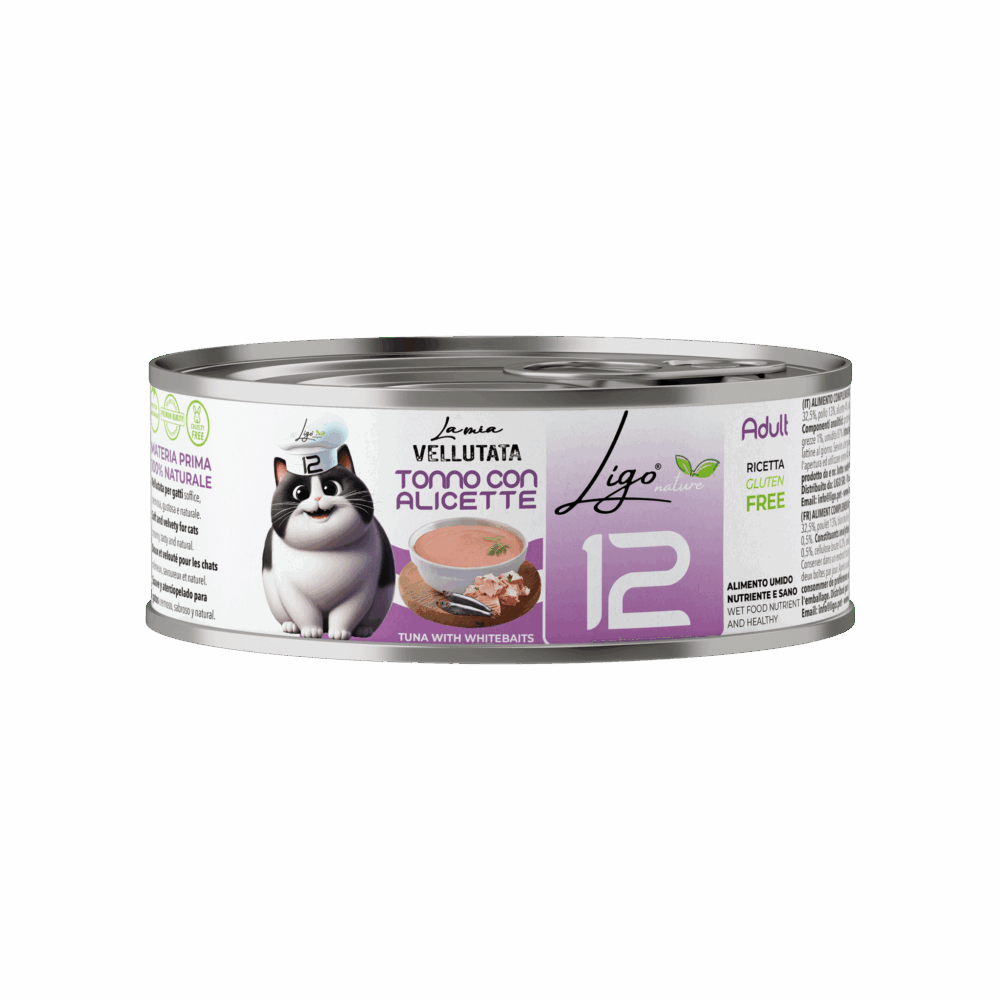 Shop Primary Image Shop Primary Image