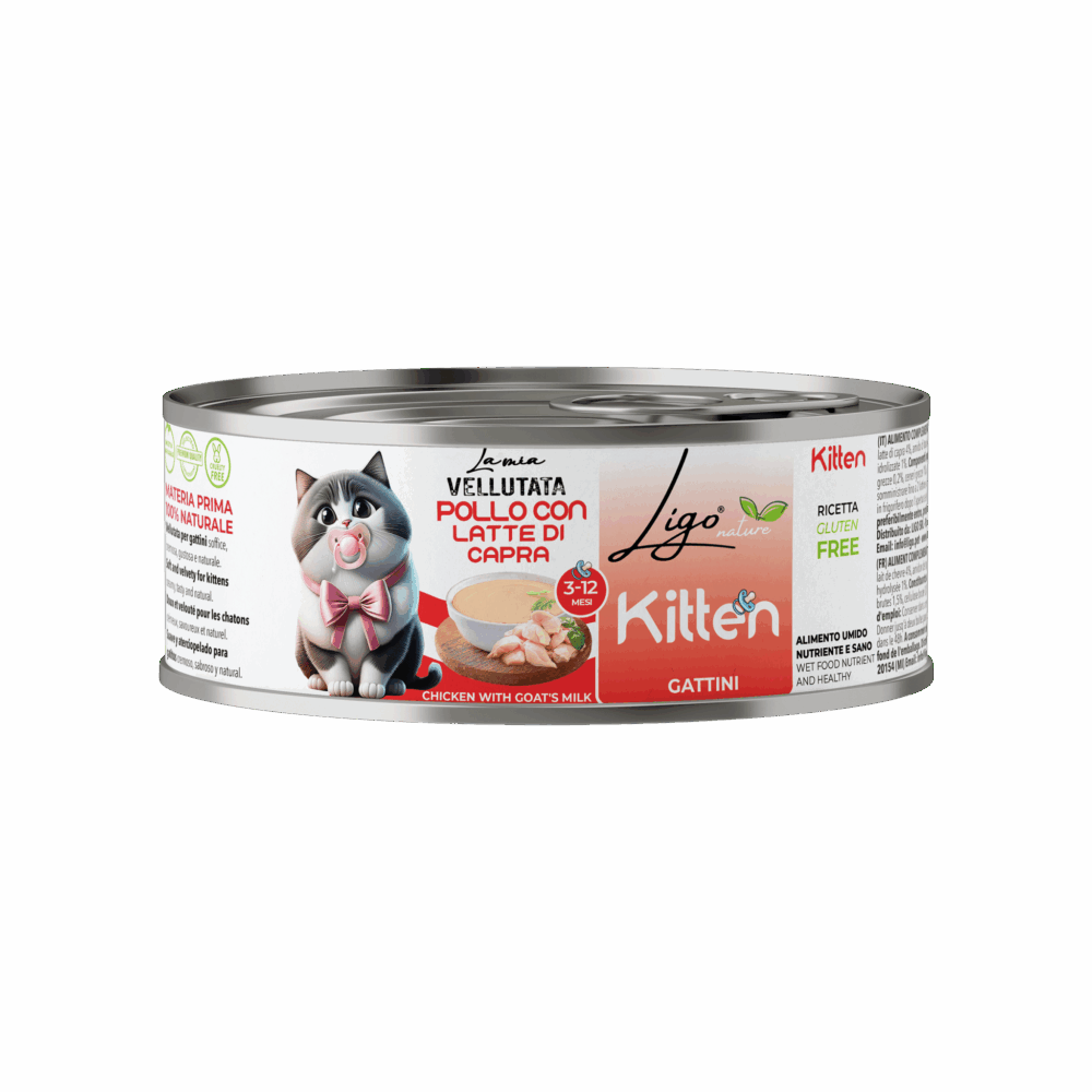 Shop Primary Image Shop Primary Image