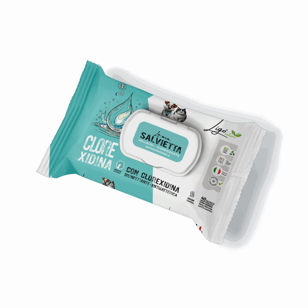 Shop Primary Image Shop Primary Image