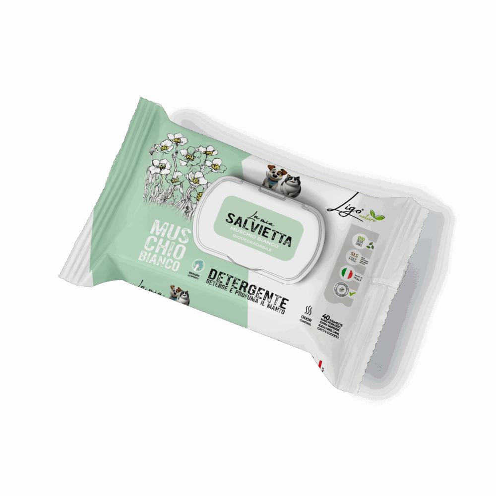 Shop Primary Image Shop Primary Image