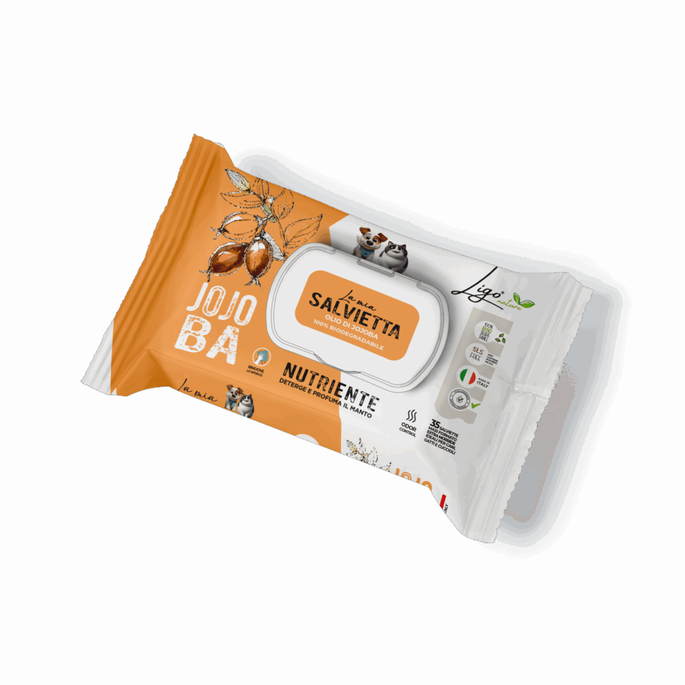 Shop Primary Image Shop Primary Image