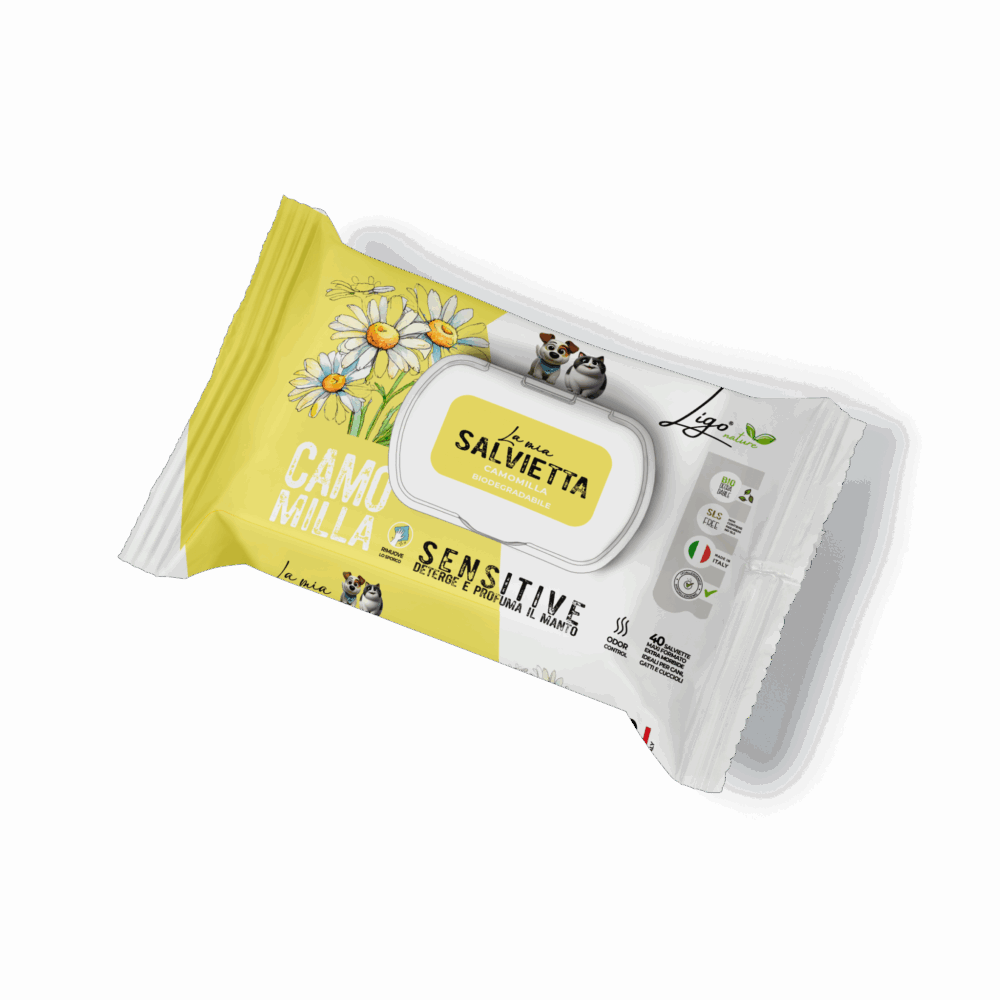 Shop Primary Image Shop Primary Image