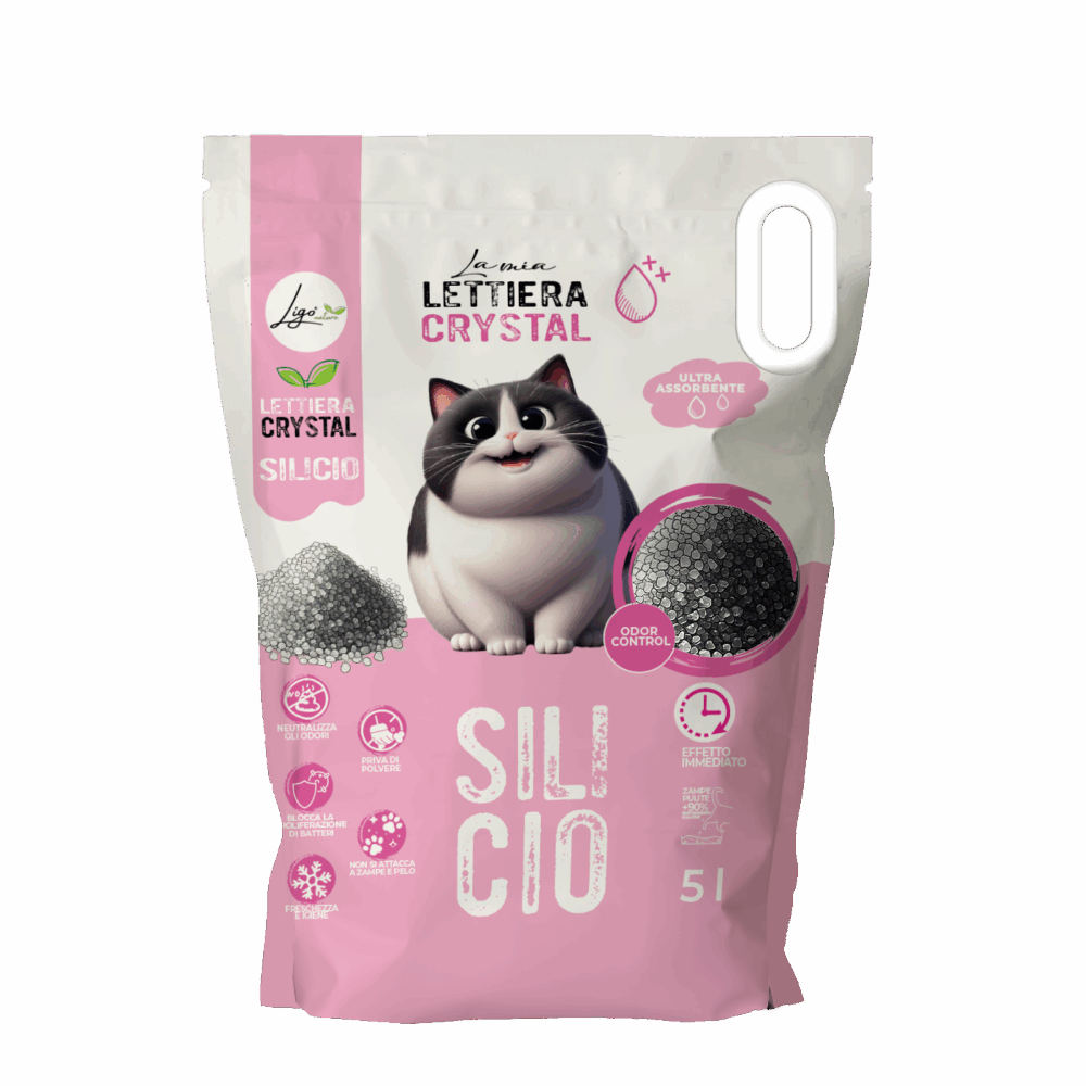 Shop Primary Image Shop Primary Image