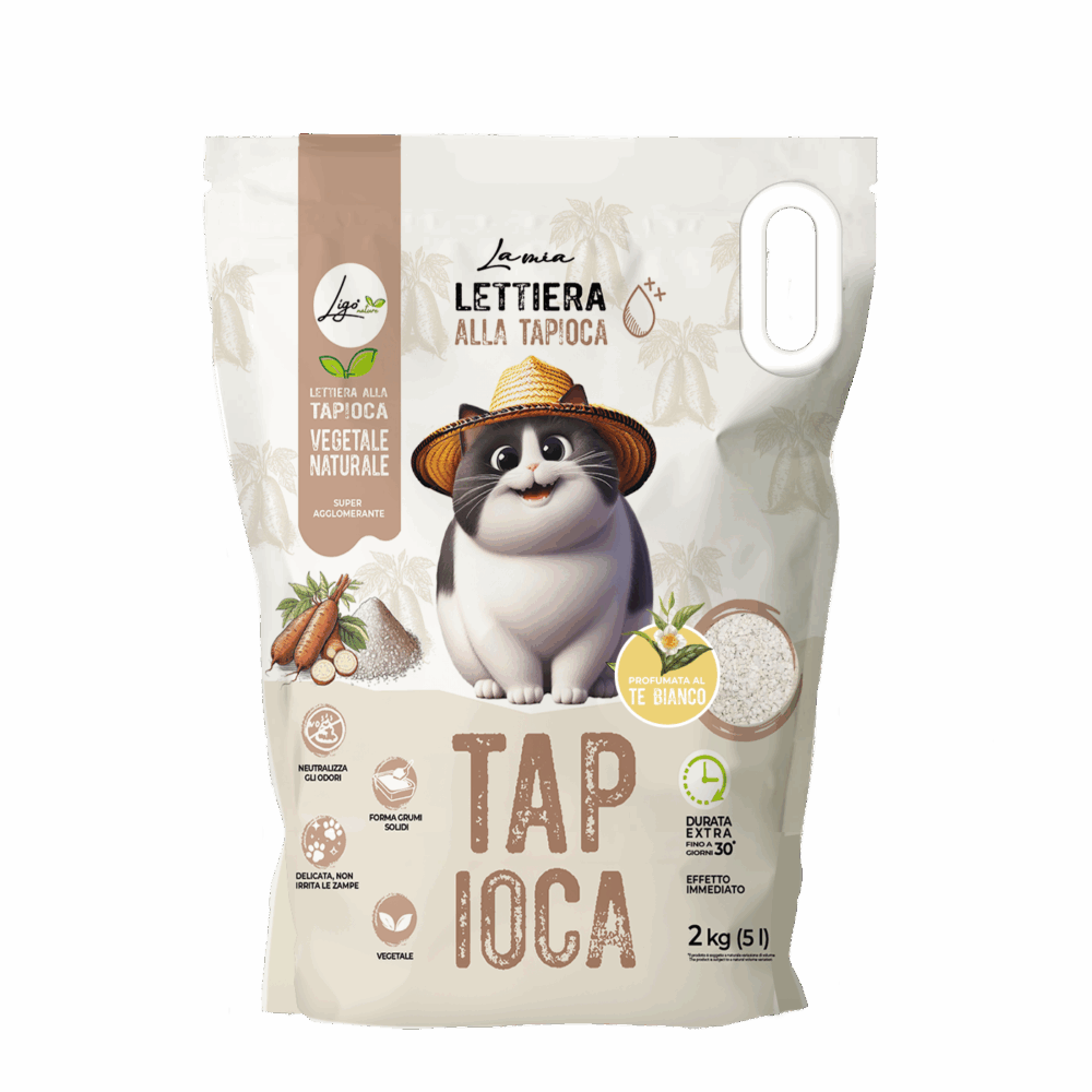 Shop Primary Image Shop Primary Image