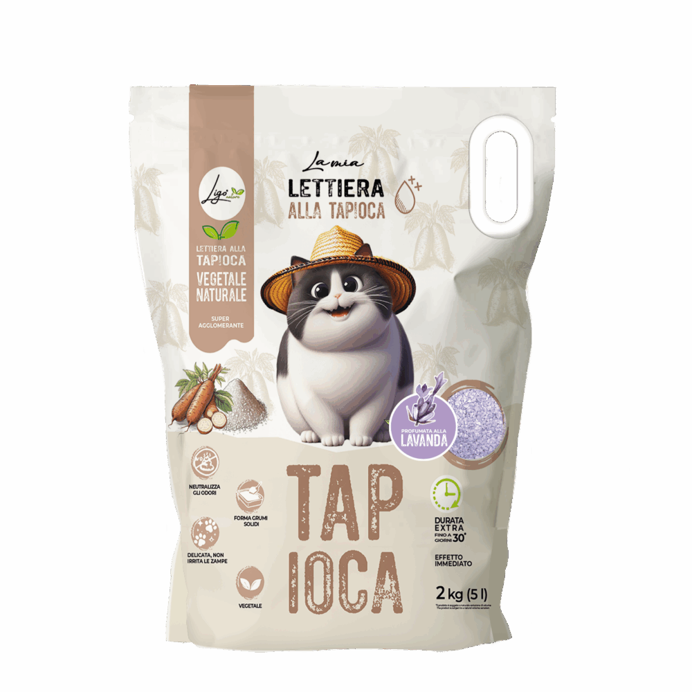 Shop Primary Image Shop Primary Image