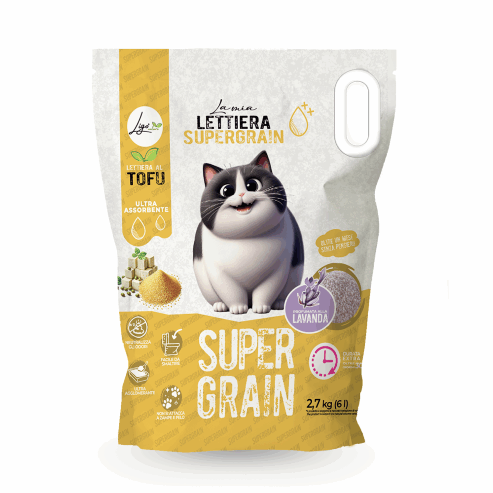 Shop Primary Image Shop Primary Image