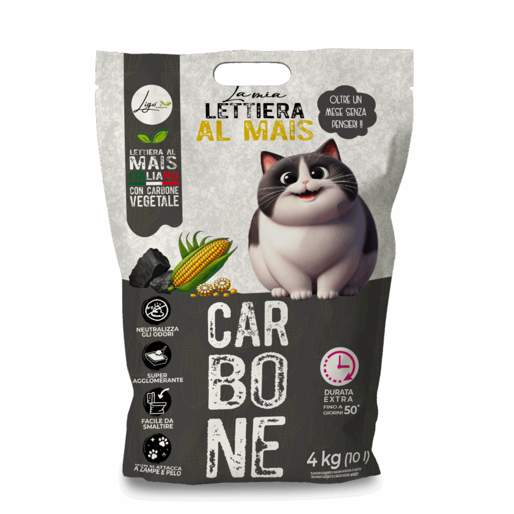 Shop Primary Image Shop Primary Image