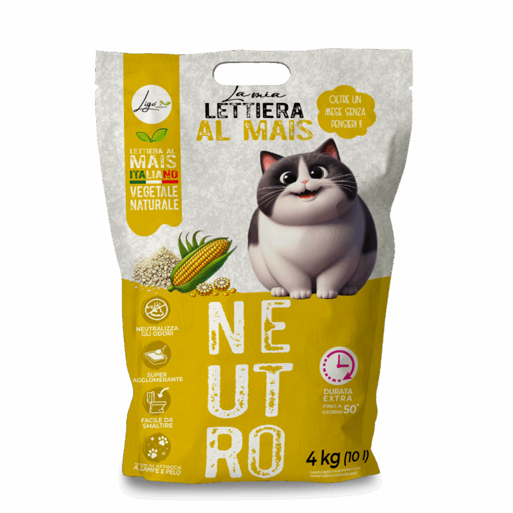 Shop Primary Image Shop Primary Image